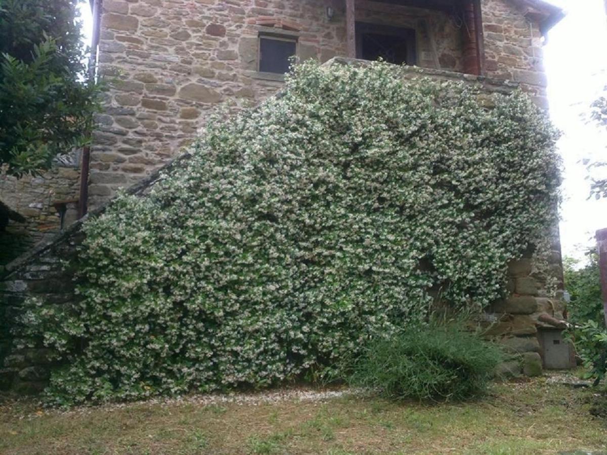 La Cuccia - La Villa-San Pacrazio Ambra ภายนอก รูปภาพ